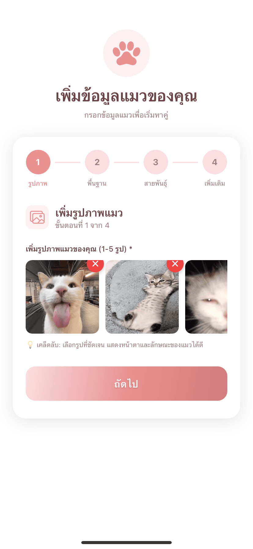 Tinder Cat screenshot 6