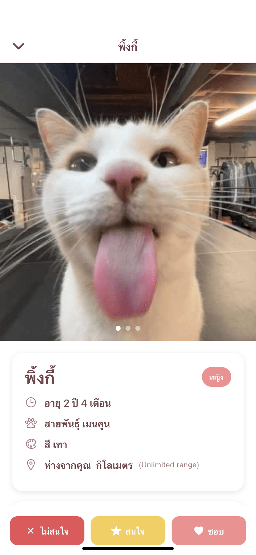 Tinder Cat screenshot 11